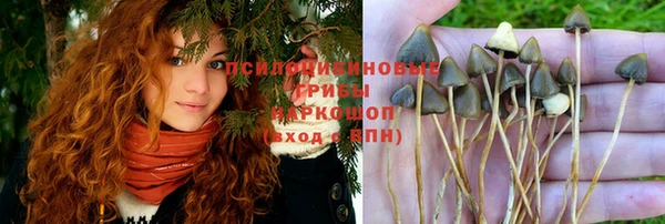 герыч Аркадак