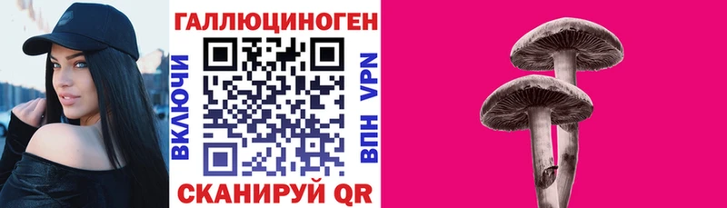дарк нет какой сайт  Талица  Псилоцибиновые грибы мухоморы 